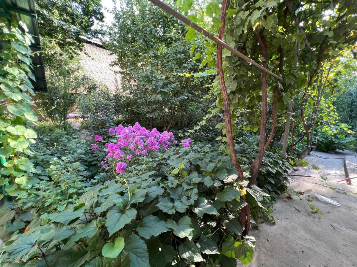 Lovely Home Osh Luaran gambar